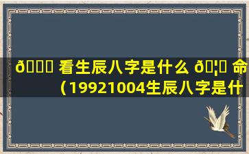 🐟 看生辰八字是什么 🦋 命格（19921004生辰八字是什么命格）